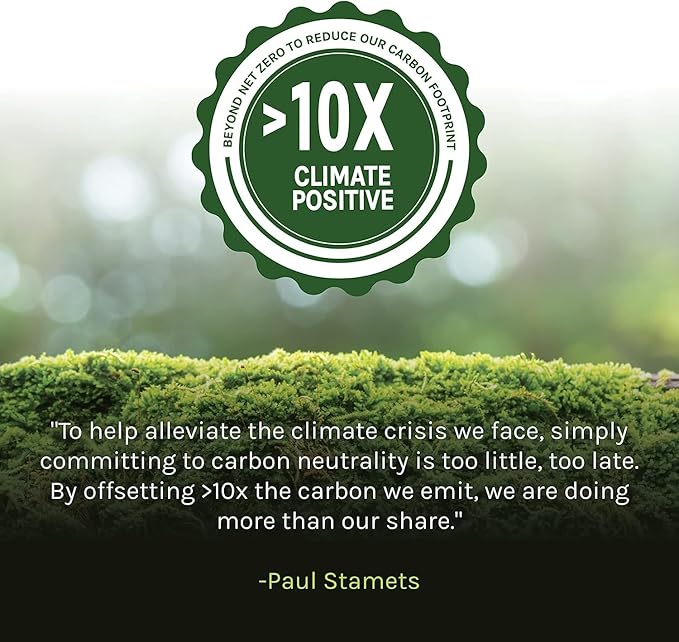 Host Defense Cordyceps Capsules - Immune & Energy Support Supplement - Kidney Health Supplement with Cordyceps - Fitness Support Supplement to Aid Oxygen Uptake - 30 Capsules (15 Servings)*