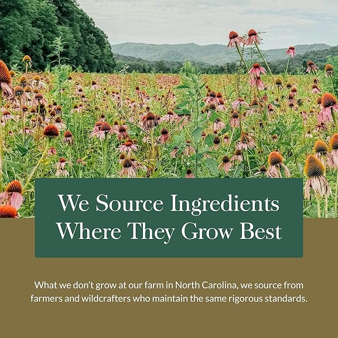 Gaia Herbs Thyroid Support - Made with Ashwagandha, Kelp, Brown Seaweed, and Schisandra to Support Healthy Metabolic Balance and Overall Well-Being - 60 Vegan Liquid Phyto-Capsules (20-Day Supply)
