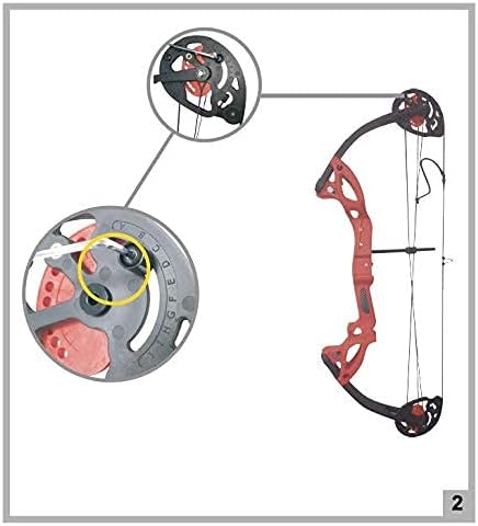 Compound Bow Archery for Youth and Beginner, Right Handed,19”-28” Draw Length,15-29 Lbs Draw Weight, 260 fps