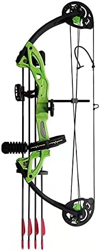 Compound Bow Archery for Youth and Beginner, Right Handed,19”-28” Draw Length,15-29 Lbs Draw Weight, 260 fps