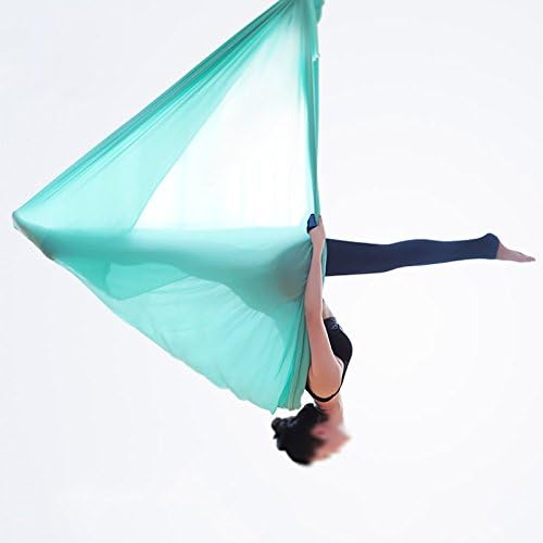 F.Life Aerial Silk Yoga Hammock & Swing for yoga Inversion,Strength training,starter hardware kit
