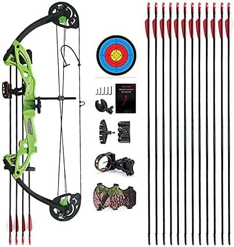 Compound Bow Archery for Youth and Beginner, Right Handed,19”-28” Draw Length,15-29 Lbs Draw Weight, 260 fps