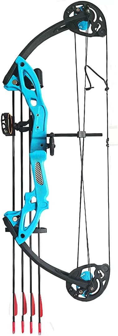 Compound Bow Archery for Youth and Beginner, Right Handed,19”-28” Draw Length,15-29 Lbs Draw Weight, 260 fps