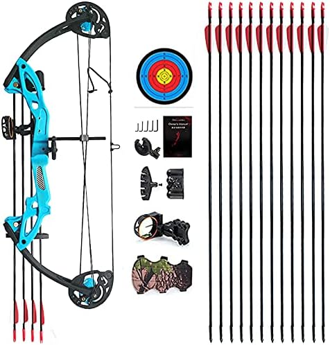 Compound Bow Archery for Youth and Beginner, Right Handed,19”-28” Draw Length,15-29 Lbs Draw Weight, 260 fps