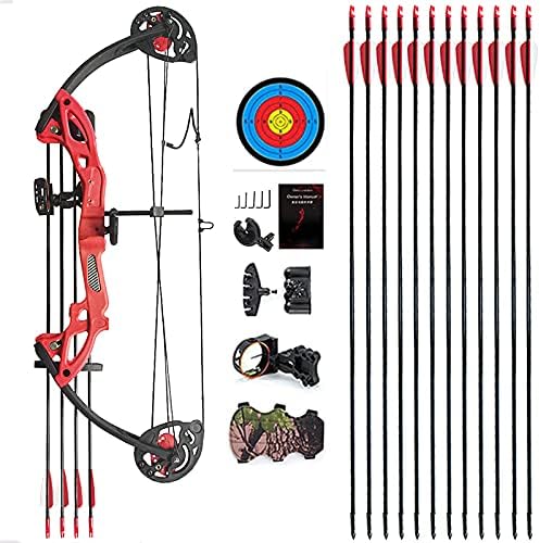 Compound Bow Archery for Youth and Beginner, Right Handed,19”-28” Draw Length,15-29 Lbs Draw Weight, 260 fps