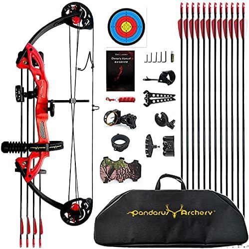 Compound Bow Archery for Youth and Beginner, Right Handed,19”-28” Draw Length,15-29 Lbs Draw Weight, 260 fps