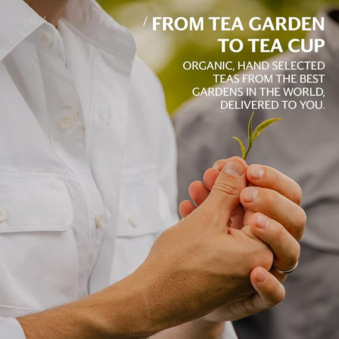 Grace Farms Organic JASMINE Green Tea (100 Enveloped Pyramid Sachets w/String & Tag) | Fragrant and Sweet | Fairtrade and Kosher Certified | Best Green Tea | Gives Back 100% of Profits