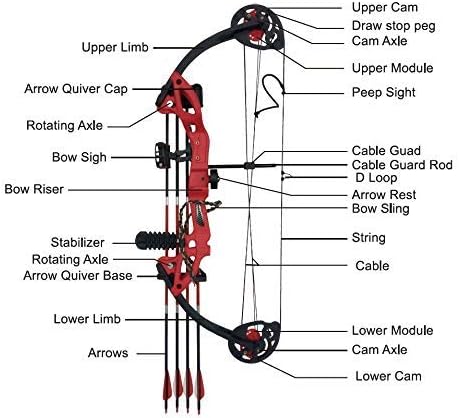 Compound Bow Archery for Youth and Beginner, Right Handed,19”-28” Draw Length,15-29 Lbs Draw Weight, 260 fps
