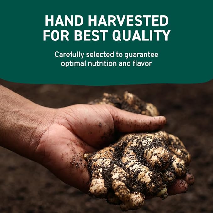 HANDPICK Ginger Powder (14oz/397g) No Additives, No Preservatives, No Fillers | Ginger Root Powder from India | Raw, Gluten Free, Non GMO | Perfect for Cooking, Baking | Resealable Zip Lock Pouch