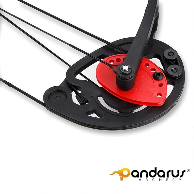 Compound Bow Archery for Youth and Beginner, Right Handed,19”-28” Draw Length,15-29 Lbs Draw Weight, 260 fps