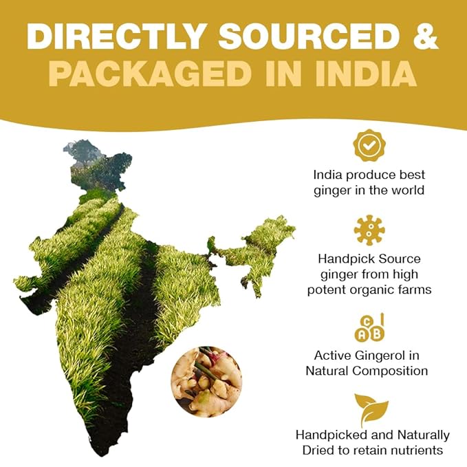 HANDPICK, Ginger Tea Bags, Caffeine Free & 100% Pure Ginger Root | Soothing & Spicy Blend | Round Eco Conscious Teabags