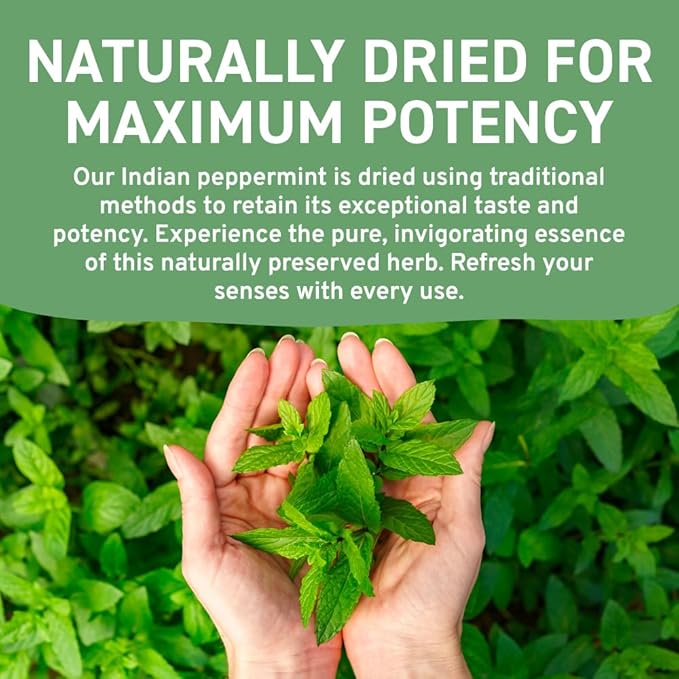 HANDPICK, Peppermint Tea, Eco-Conscious Tea Bags - 100 Count | Caffeine Free, Non-GMO | Minty, Fresh & Cool flavor | Direct From Source