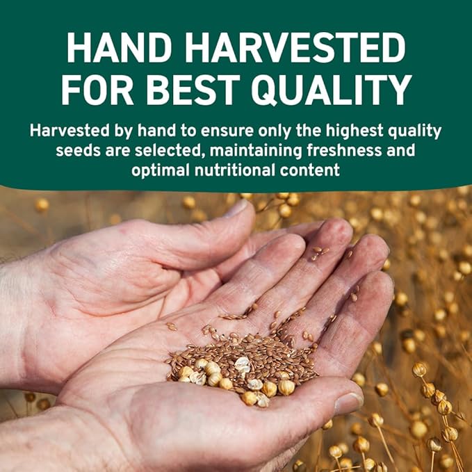 HANDPICK Flax Seed (2 lb) | Gluten Free Brown Seeds | Raw Seeds Sourced from India | Grinds easily, Gels perfectly | Resealable Zip Lock Pouch