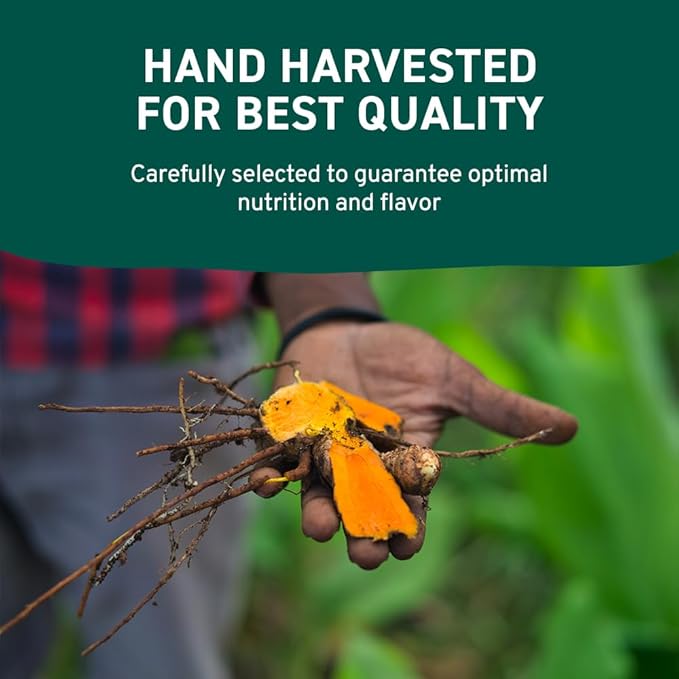 HANDPICK, Organic Turmeric Powder with Curcumin (397g/14oz) Gluten Free | Made from Turmeric Root | Raw Turmeric Powdered from India