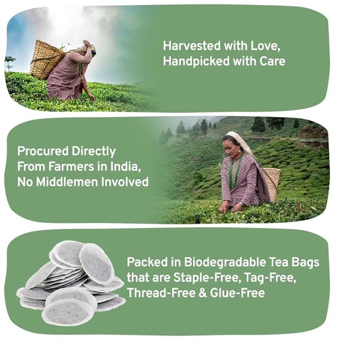 HANDPICK, Organic English Breakfast Black Tea Bags (100 Count) USDA Organic, Non-GMO | Strong, Robust, High-Caffeine Black Tea | Eco-conscious Tea Bags, Brew English Breakfast Tea & Kombucha Tea