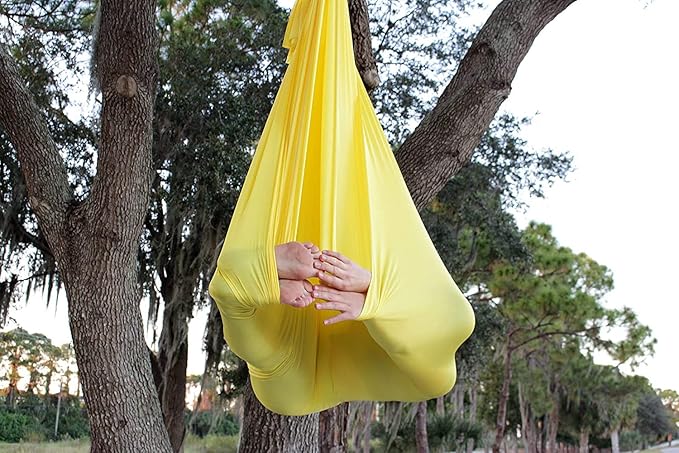F.Life Aerial Silk Yoga Hammock & Swing for yoga Inversion,Strength training,starter hardware kit