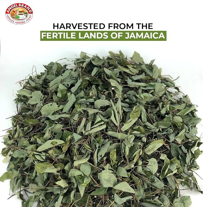 Angel Brand Jamaican Strongback Herb 0.25 oz Pouch Pack of 3 - Sourced from Fertile Land of Jamaica- Strongback Earthy,Woody & Bitter Flavor - Provide Comfort to your Back