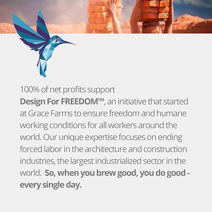 Grace Farms Shine Wellness Organic Tea Blend (50 Pyramid Sachets) | Hydrating Tea For Skin and Detox | Rooibos, Rosehips, Hibiscus, Tulsi, Haritaki | Fairtrade and Kosher | Gives Back 100% of Profits