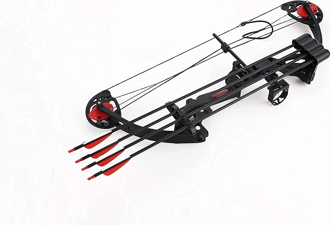 Compound Bow Archery for Youth and Beginner, Right Handed,19”-28” Draw Length,15-29 Lbs Draw Weight, 260 fps