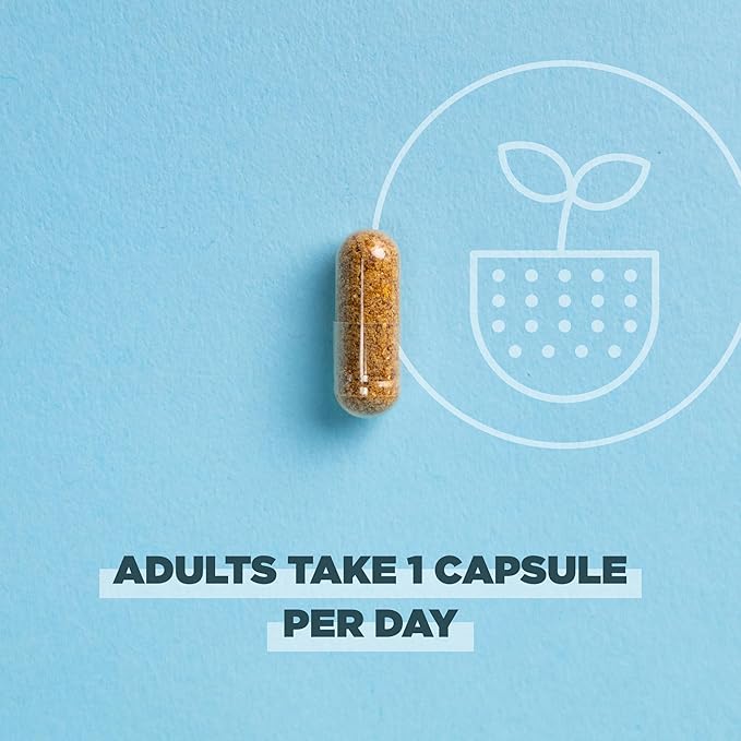 Ancient Nutrition Regenerative Organic Certified Probiotics for Women, Probiotics Women’s Once Daily, for Healthy Digestion and Immune System Function Support, 25 Billion CFUs* Per Serving, 30 Count