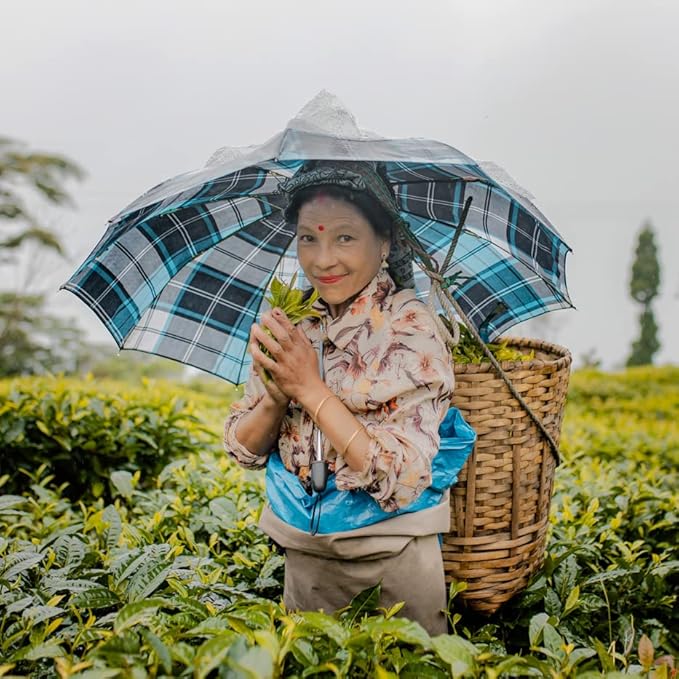 Grace Farms Organic Darjeeling Sunrise Black Tea, 16 Pyramid Sachets | Darjeeling & Orange | Fairtrade & Kosher |Gives Back 100% of Profits