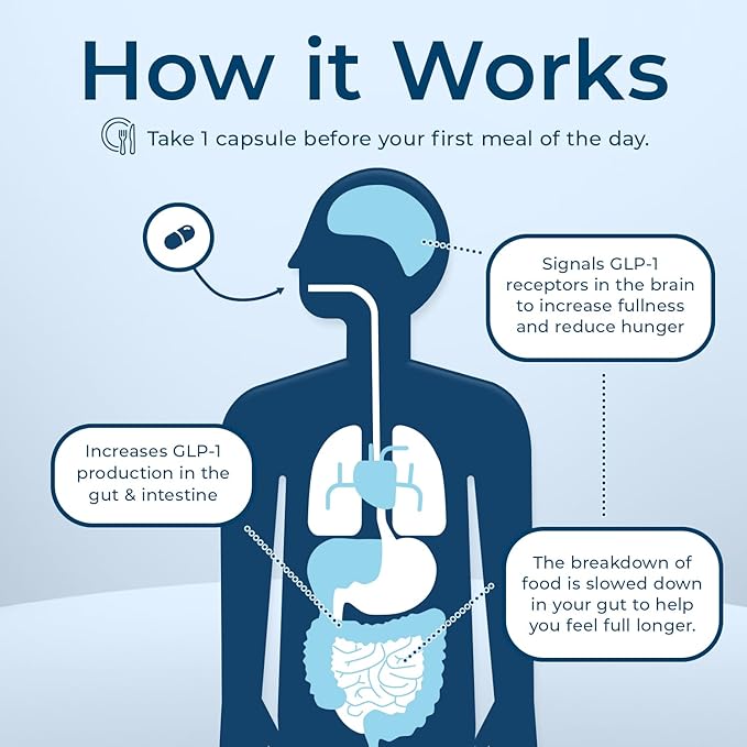 Dr. Stephanie's GLP-Wonder Natural GLP-1 Boosting Supplement - Control Hunger & Appetite, Fight Cravings - Side-Effect Free Support