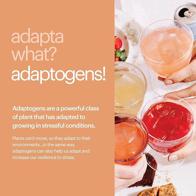 Heywell Sparkling Adaptogenic Water Energy and Focus, Lemon Fizz Flavor 12 Fluid Ounce (Pack of 12) - Caffeinated, Organic, Non GMO, Vegan, Gluten Free, Dairy Free