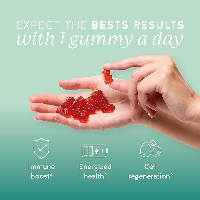 Immune Support Gummies – Vitamin C, D, B6 & B12 – Daily Immune Boost – Vegan, Naturally Flavored (90 Gummies)