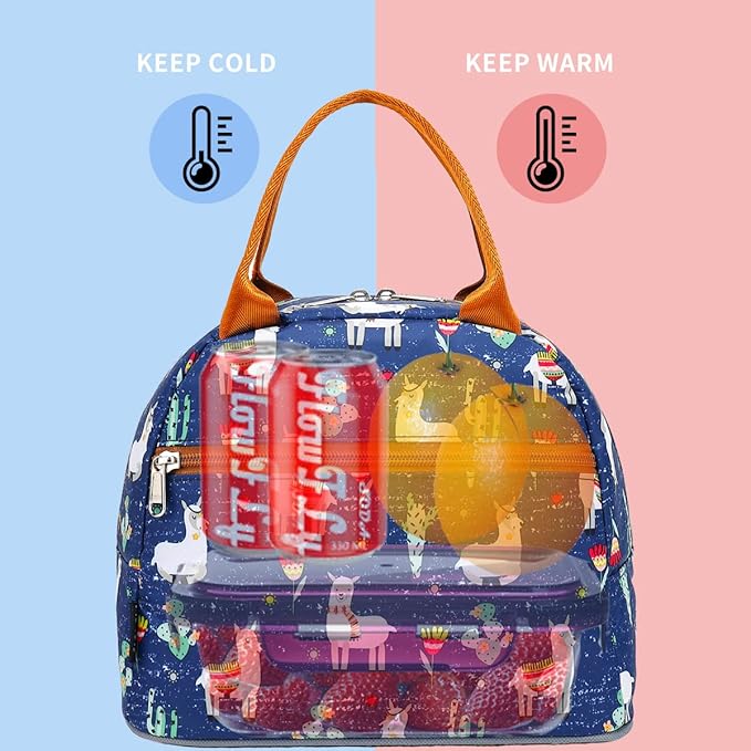 FlowFly Insulated Lunch Cooler Bag - Tote Bag Organizer for Women/Men, Alpaca