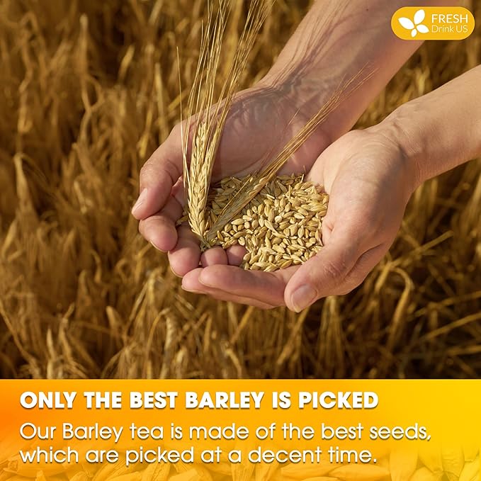 FreshDrinkUS Premium 50 Barley Tea Bags, 100% Natural & Pure. Loose Barley Herbal Tea. Made with Natural Material Tea Bags. No Sugar, No Caffeine, No Gluten, Vegan