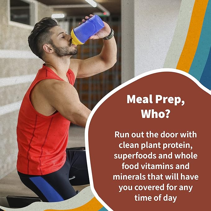 Garden of Life Meal Replacement Shakes, Raw Organic, Vanilla Chai Protein Powder with Plant Based Pea Protein, Sprouts, Greens, Probiotics, Dairy Free 28 Servings