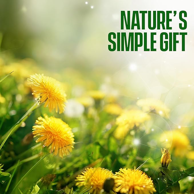 Dandelion Root Tea - Raw Organic Herbal Tea, Caffeine Free, 60 bags