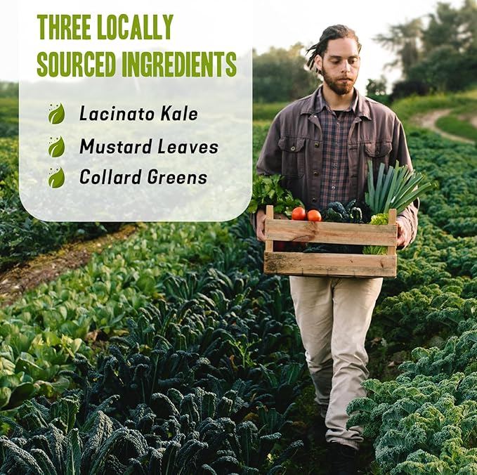 Dr. Cowan's Garden Low-Oxalate Greens Veggie Powder Refill Pouch - Beyond Organic Superfood Greens Vegetable Powder for Drinks and Food - Lacinato Kale, Mustard Leaves, and Collard Greens