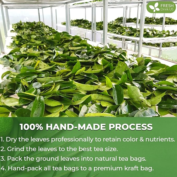 FreshDrinkUS, 15 Premium Soursop Graviola Leaf Tea Bags, 100% Natural and Pure from Soursop Leaves, Handmade, Made With Natural Materials-Corn Fiber Tea Bag, Sugar/ Caffeine/ Gluten Free, Hoja Guanabana Tea