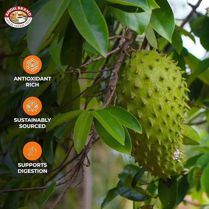 Angel Brand Soursop Leaves – Dried Guanabana Leaves for Herbal Tea, Ideal for Brewing Refreshing and Beneficial Drinks, Natural Soursop Tea Leaves for Everyday Enjoyment – 2oz