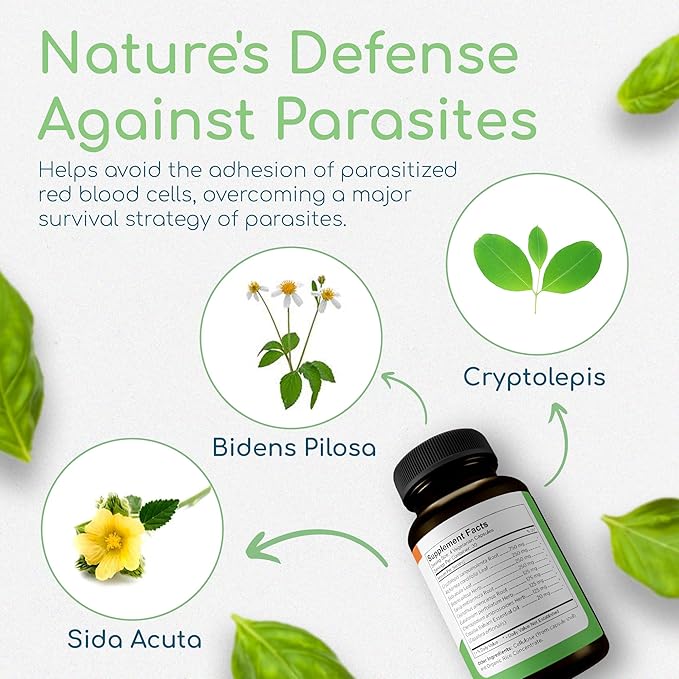 Cryptolepis Synergy, Immune Support Vitamins, Immune System Booster for Adults, Liver, Lymphatic, & Immune Support Supplement, Supports Lyme & Natural Parasite Defense, 120 Capsules