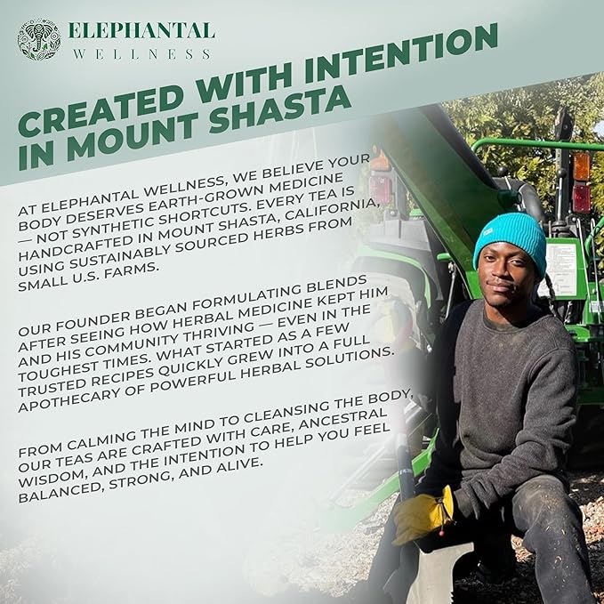 Elephantal Wellness Premium Brain Herbal Tea | Nootropic Focus & Mental Clarity Support with Ginkgo, Bacopa, Ashwagandha & Gotu Kola | Handmade, Caffeine-Free, Non-GMO Loose Leaf Blend, 4oz Loose Leaf, 40 Servings