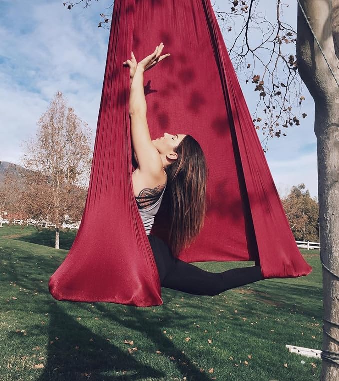 F.Life Aerial Silk Yoga Hammock & Swing for yoga Inversion,Strength training,starter hardware kit