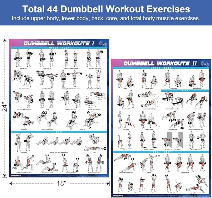 Dumbbell Workout Poster Set (2 Pack) - Workout Charts for Home Gym, Volume I & II - 18" x 24" with Enlarged Dumbbell Exercise Illustrations