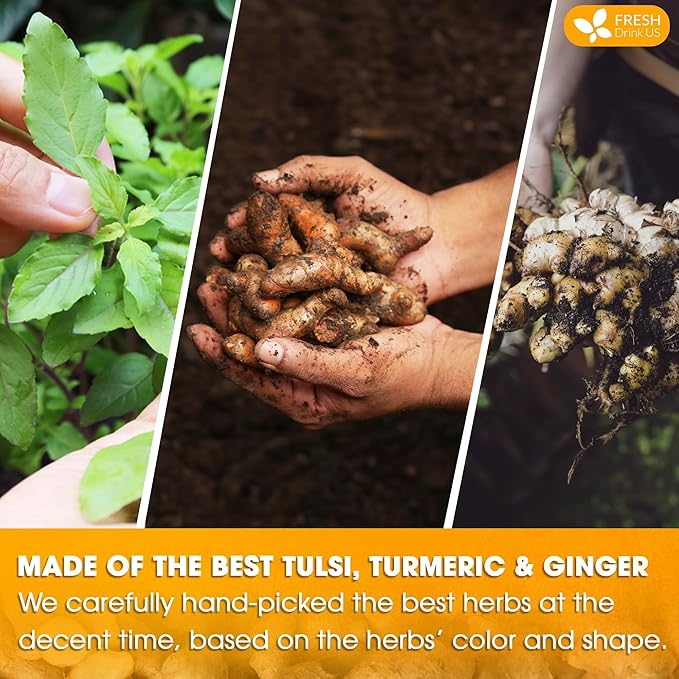FreshDrinkUS, Premium 135 Tulsi Turmeric Ginger Tea Bags, 100% Natural & Pure from Tulsi Holy Basil Leaves, Turmeric and Ginger. Made with Natural Material Tea Bags. No Sugar, No Caffeine, Vegan.