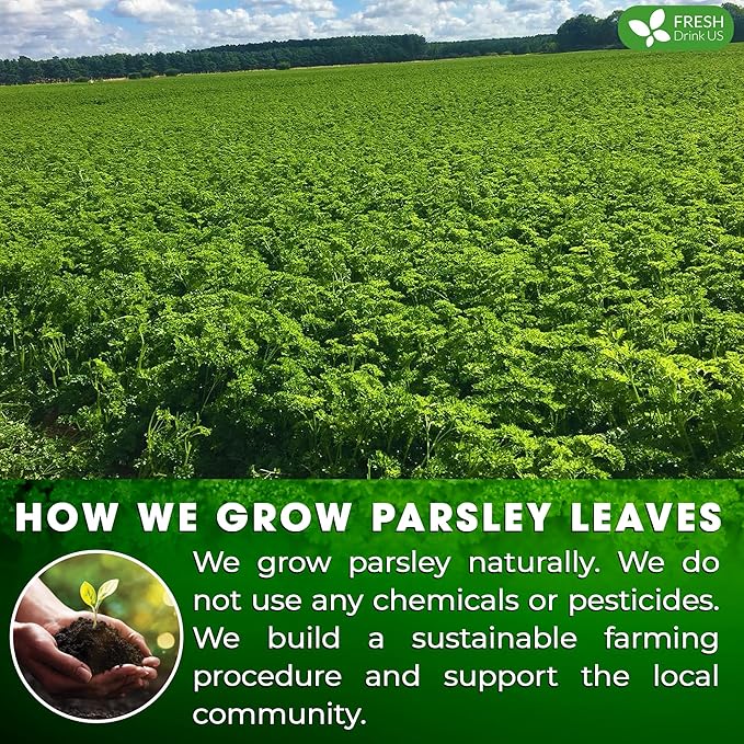FreshDrinkUS, Premium 15 Parsley Leaf Tea Bags, 100% Natural & Pure from Parsley Leaves. Loose Leaf Parsley Herbal Tea. Made with Natural Material Tea Bags. No Sugar, No Caffeine, No Gluten, Vegan.