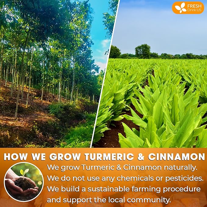 FreshDrinkUS, Premium 75 Turmeric Cinnamon Tea Bags, 100% Natural, Blend of Turmeric, and Cinnamon. Made with Natural Material Tea Bags. No Sugar. No Caffeine. Vegan.