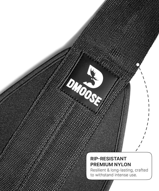 DMoose Fitness Hanging Ab Straps for Pull Up Bar & Core Strength Training - Soft Padded Exercise Straps for Ab Swing & Leg Raises, Hang Bar Strap with 2 Steel Carabiners - Abs Equipment for Home & Gym