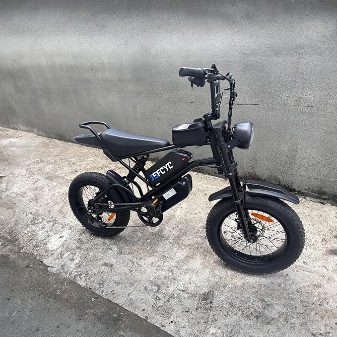 Electric Bikes for Adults,50-120Miles by Pas Ebikes,1000/15000W,720/1440WH E Dirt Bike,Shemano 7-Speed E Bikes,20'*4.0 Fat Tire Ebike,Dual Disc Brake Electric Motorcycle