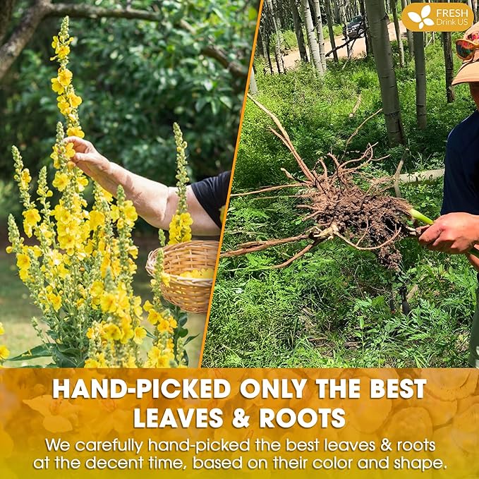 FreshDrinkUS, Premium 75 Mullein Licorice Tea Bags, 100% Natural, Blend of Mullein Leaves, and Licorice Root. Made with Natural Material Tea Bags. No Sugar, Vegan.