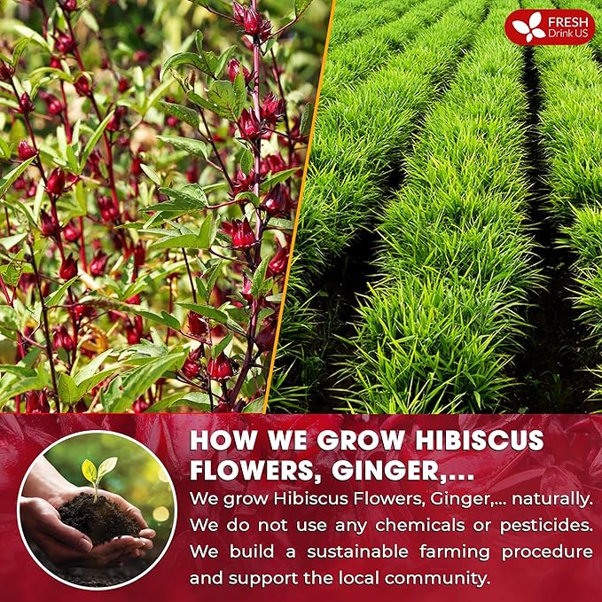 FreshDrinkUS, 60 Tea Bags Super Hibiscus Heart Blend– Herbal Tea with Hibiscus Flower, Ginger, Cinnamon Stick, Lemongrass & Rose Hip – Naturally Caffeine-Free, Sugar-Free, Vegan