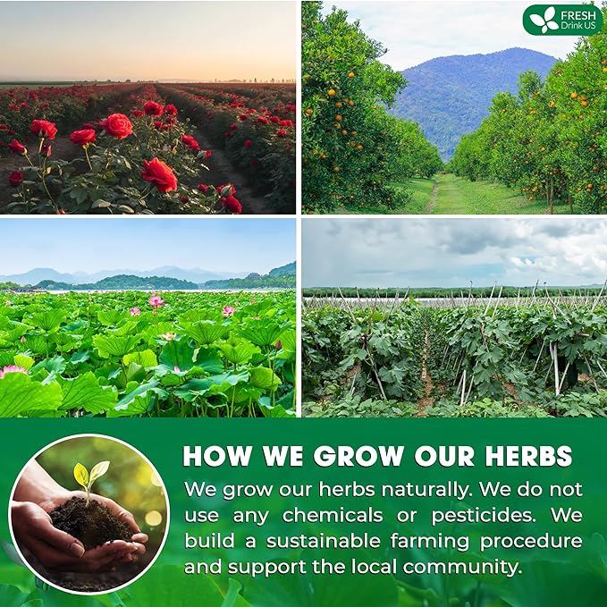 FRESHDRINKUS, 15 Packs of Oil Reducing Tea, Oil Cleansing for Liver, 10 Herbal Ingredients, Traditional Recipe Tea for Liver, 100% Natural, Easy Brewing, Steep Repeatedly (15 Packs)