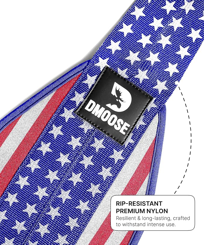 DMoose Fitness Hanging Ab Straps for Pull Up Bar & Core Strength Training - Soft Padded Exercise Straps for Ab Swing & Leg Raises, Hang Bar Strap with 2 Steel Carabiners - Abs Equipment for Home & Gym